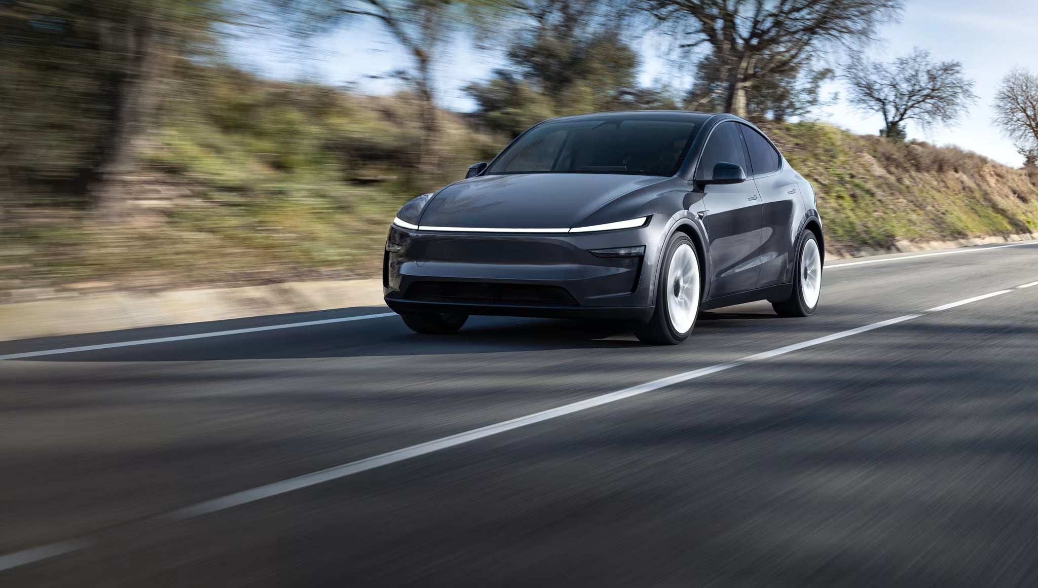 Model Y
